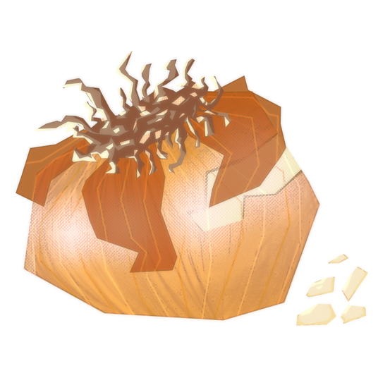 Onion Onion